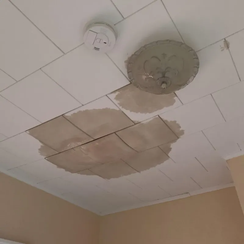 Ceiling Water Damage Repair in Vadnais Heights, MN