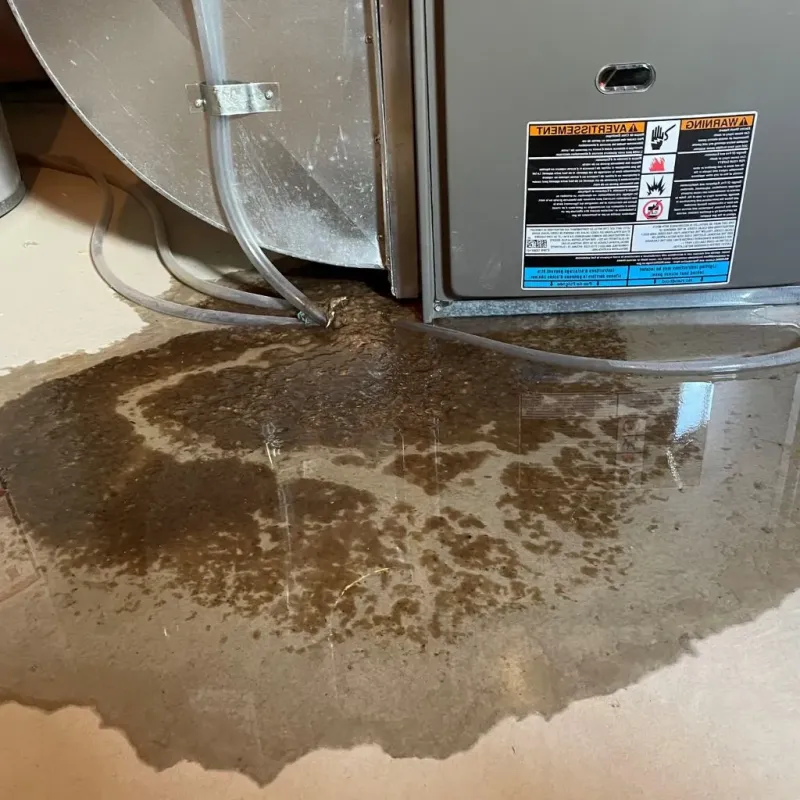 Pipe Burst and Leak Restoration in Vadnais Heights, MN