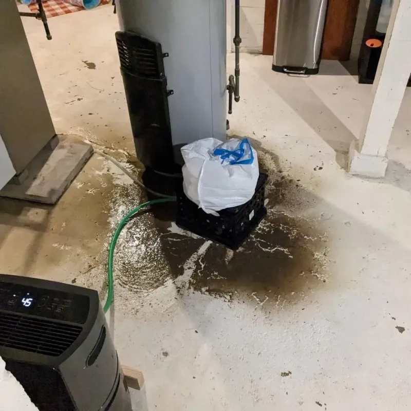 Sewage Backup Cleanup Service in Vadnais Heights, MN